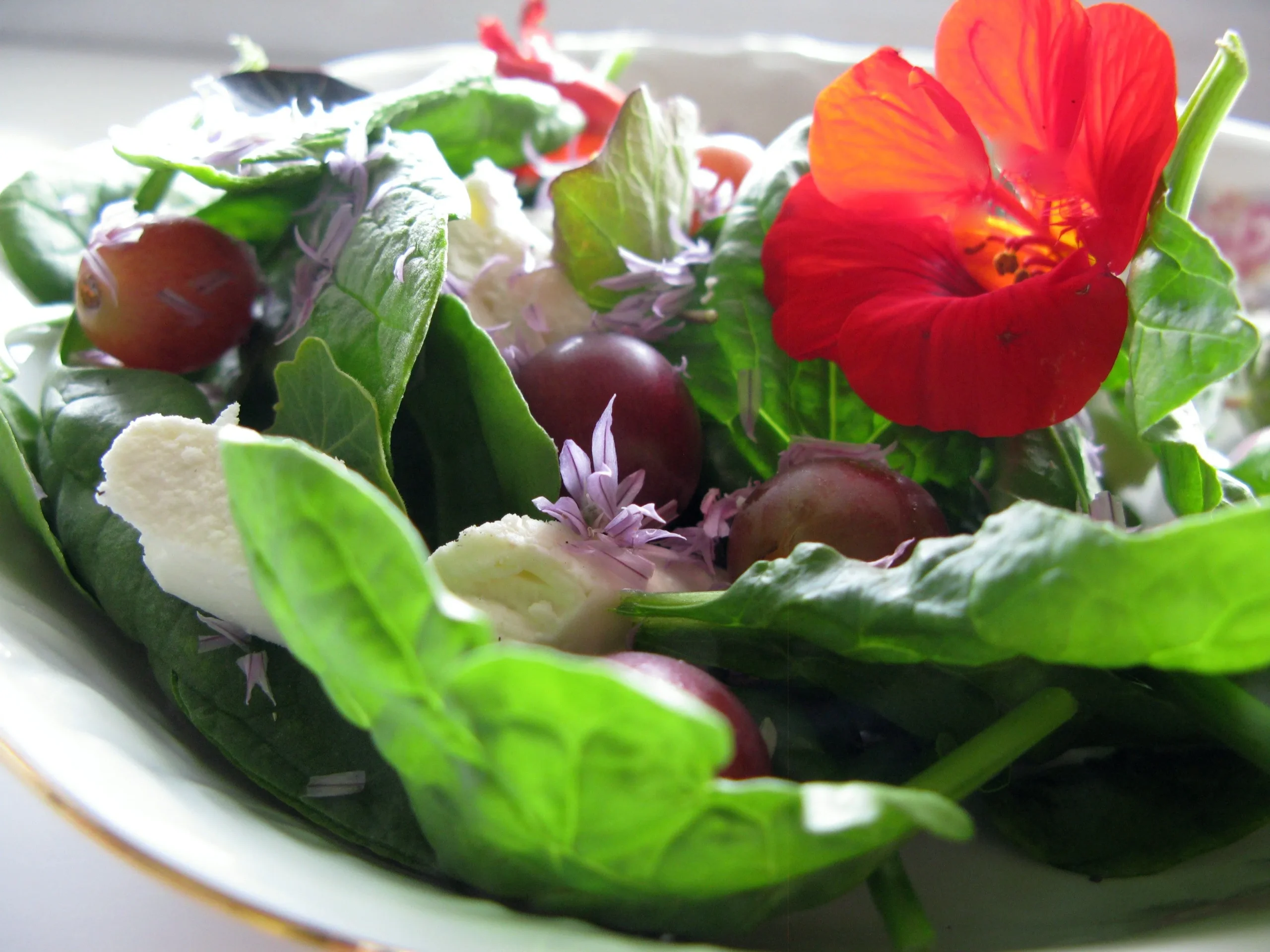 Nasturtium and Grape Salad