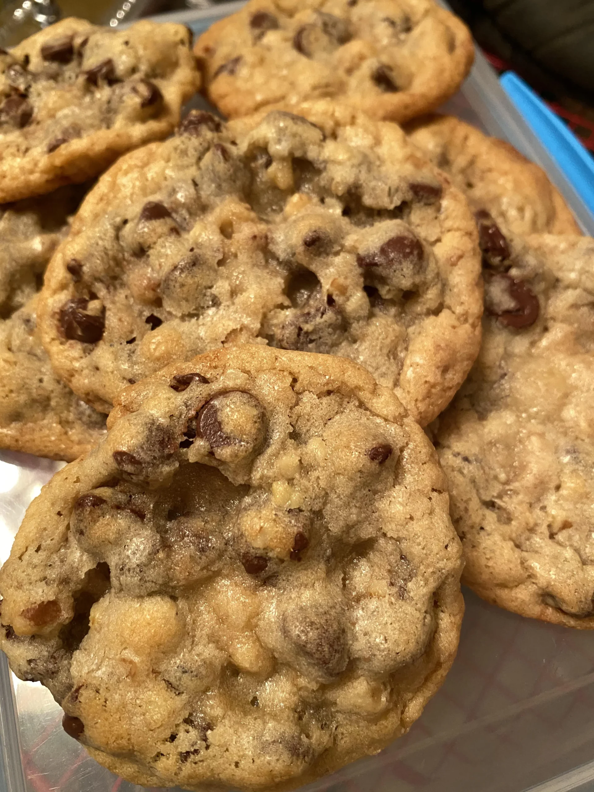 Nestle Chocolate Chip Cookies