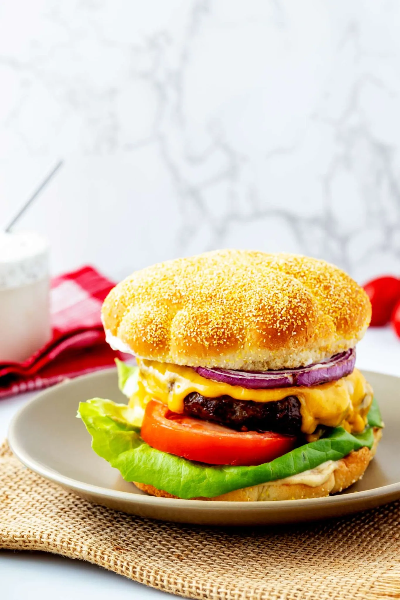 Ninja Foodi Grill Burger