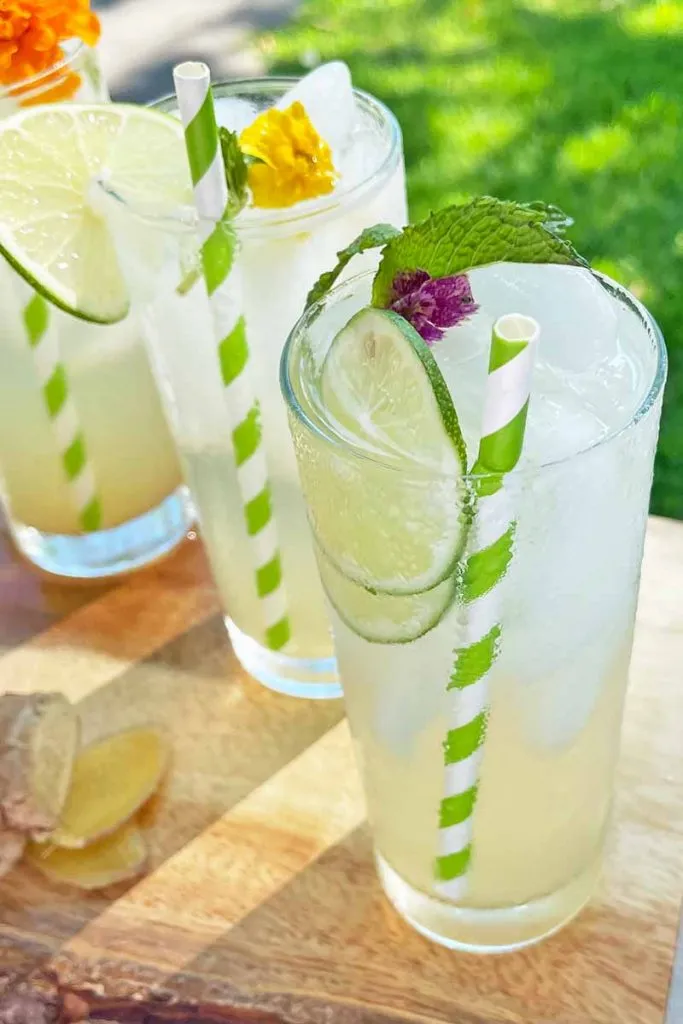 Non-Alcoholic Cocktail Mint Lime and Ginger Splash
