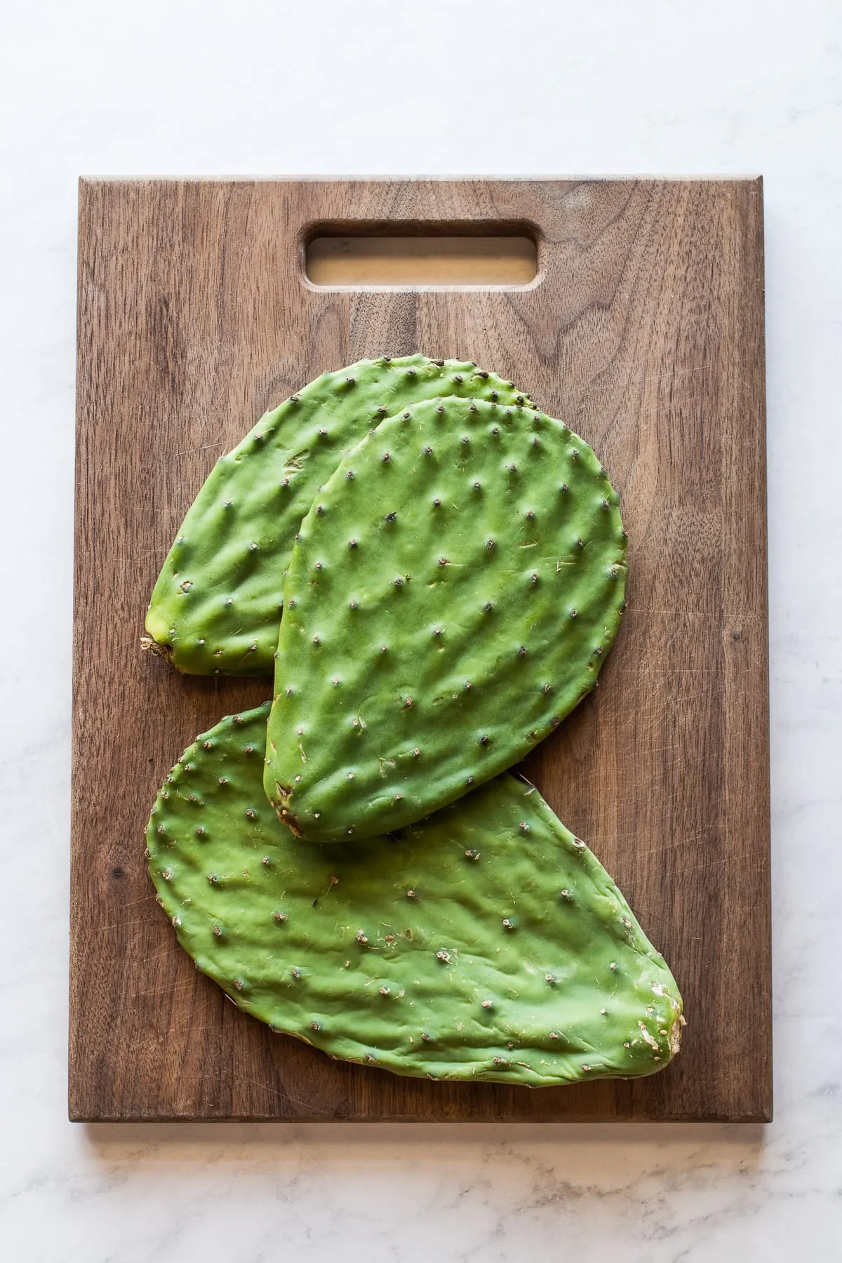 Nopales Vestidos Breaded Cactus Paddles