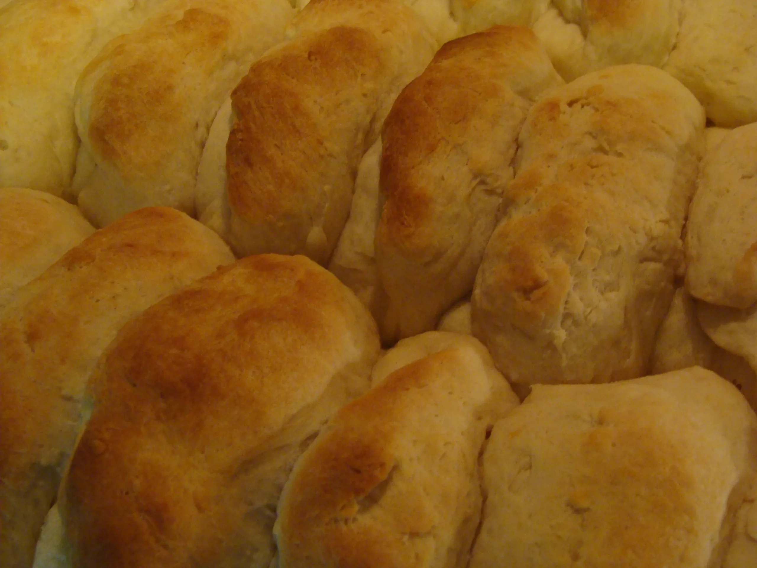 One Hour or Less Yeast Rolls