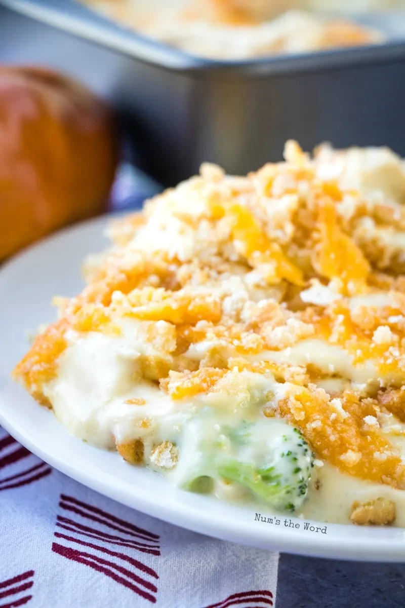 One Pot Creamy Chicken Broccoli and Rice Divan