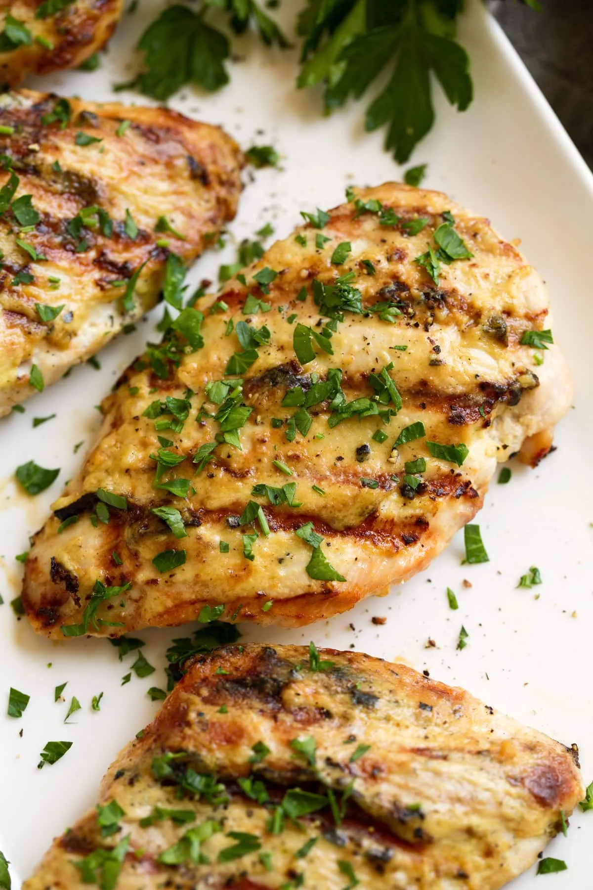 Pace Picante Dijon Grilled Chicken