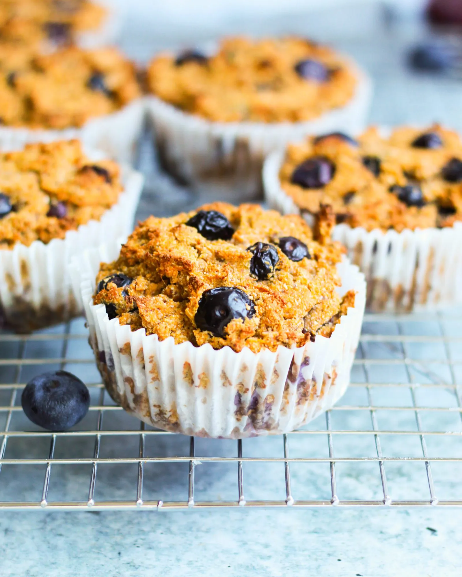 Paleo Vegan Blueberry Muffins