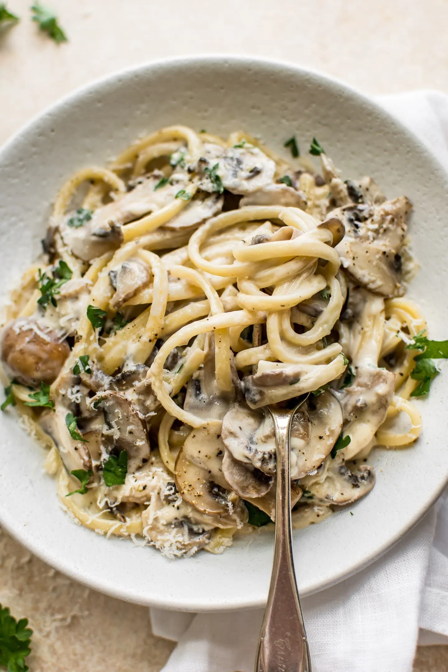 Pasta with Creamy Mushroom White Wine Sauce