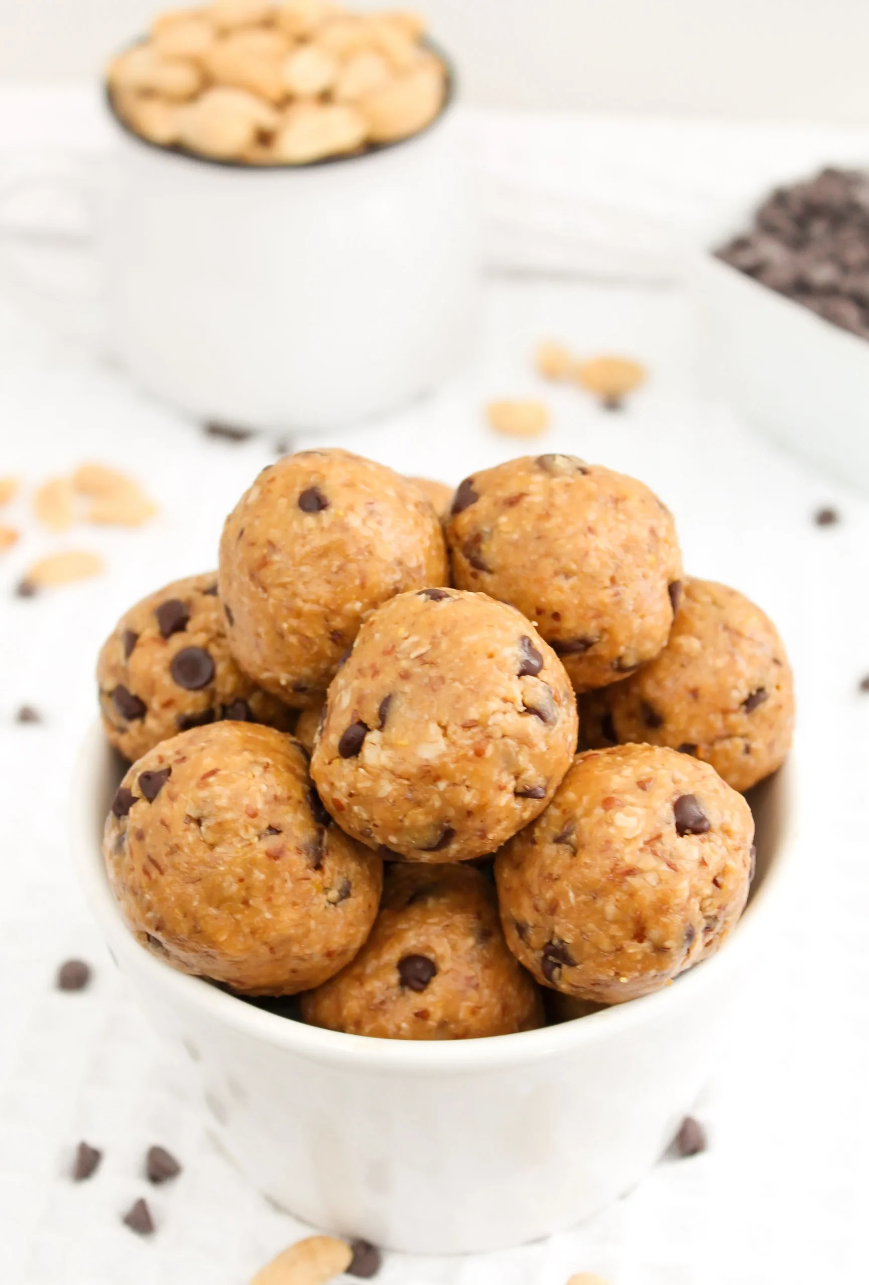 Peanut Butter Chocolate Chip Protein Balls