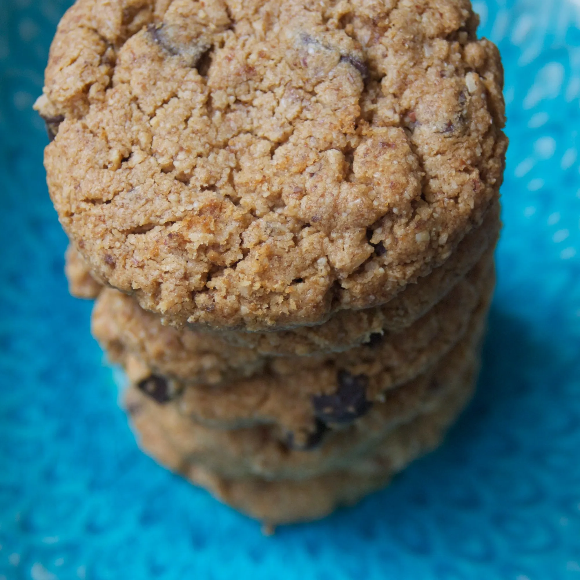 Peanut Butter Chocolate Chippers