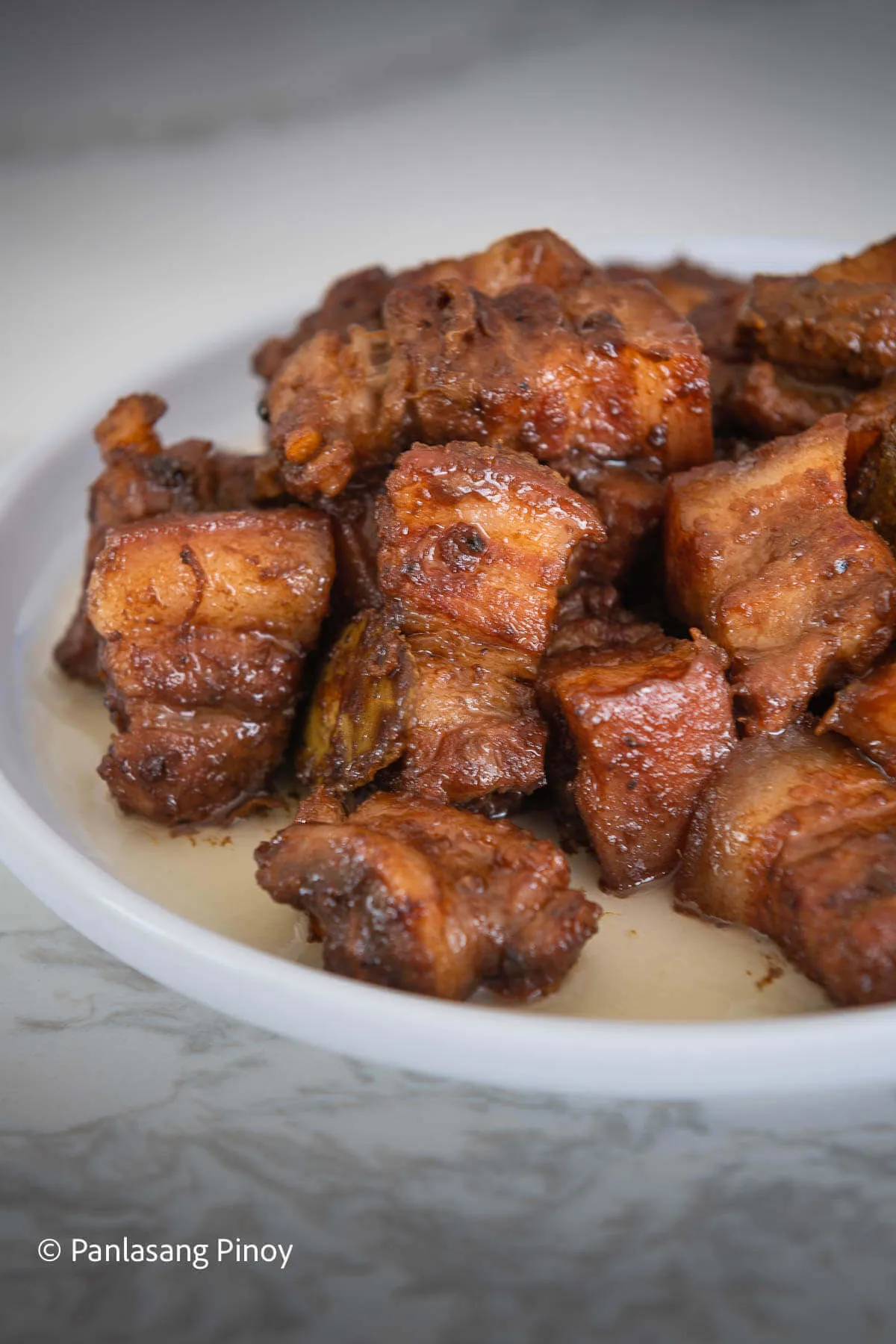 Pork Adobo with Tokwa and Tausi and Garlic Fried Rice Adobo