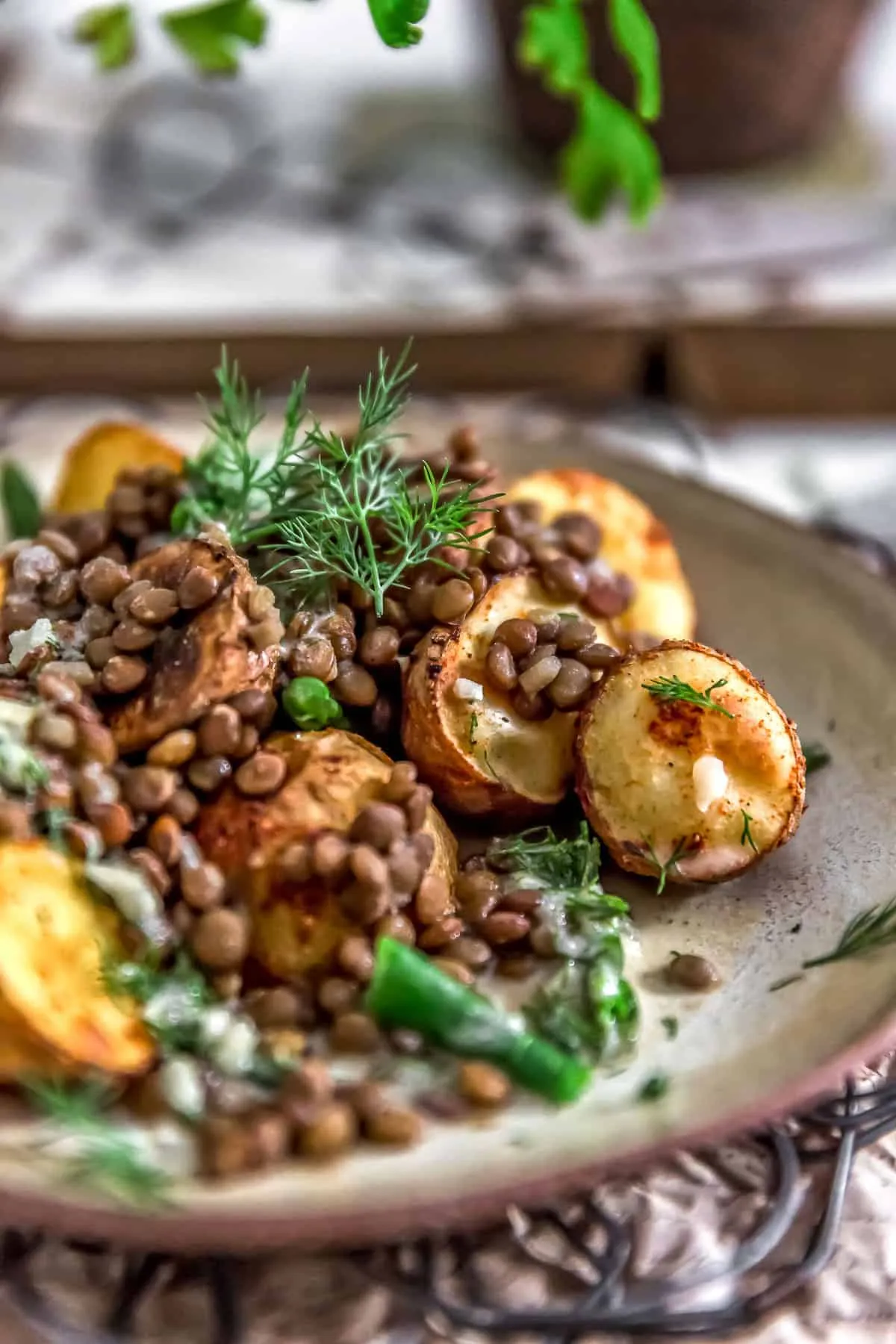 Potato Dill Stir Fry Lentil