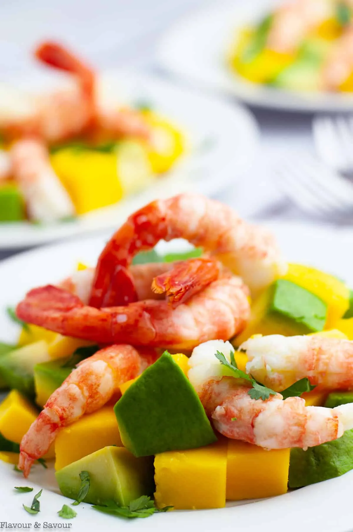 Prawn Mango and Avocado Salad with Noodles and Lime Dressing