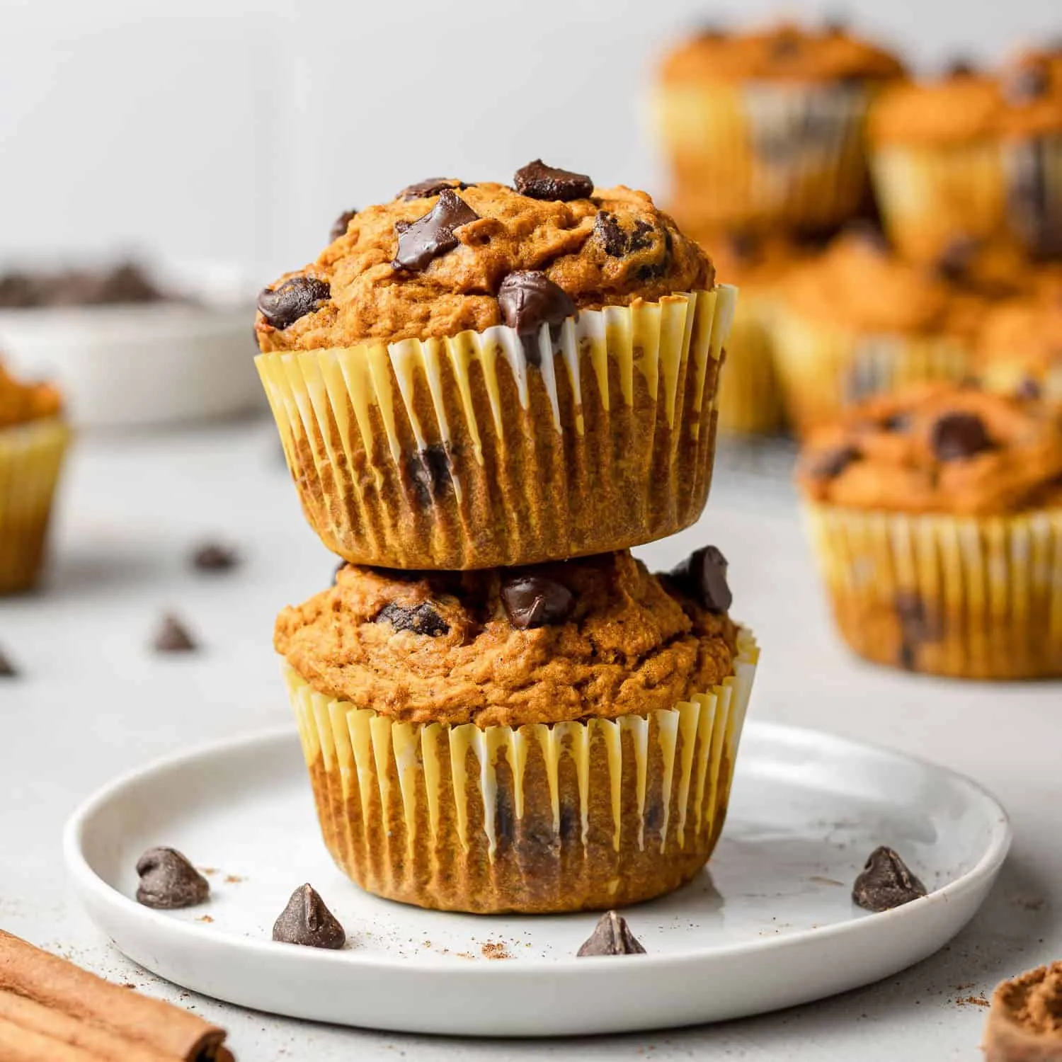 Pumpkin Chocolate Chip Bran Muffins