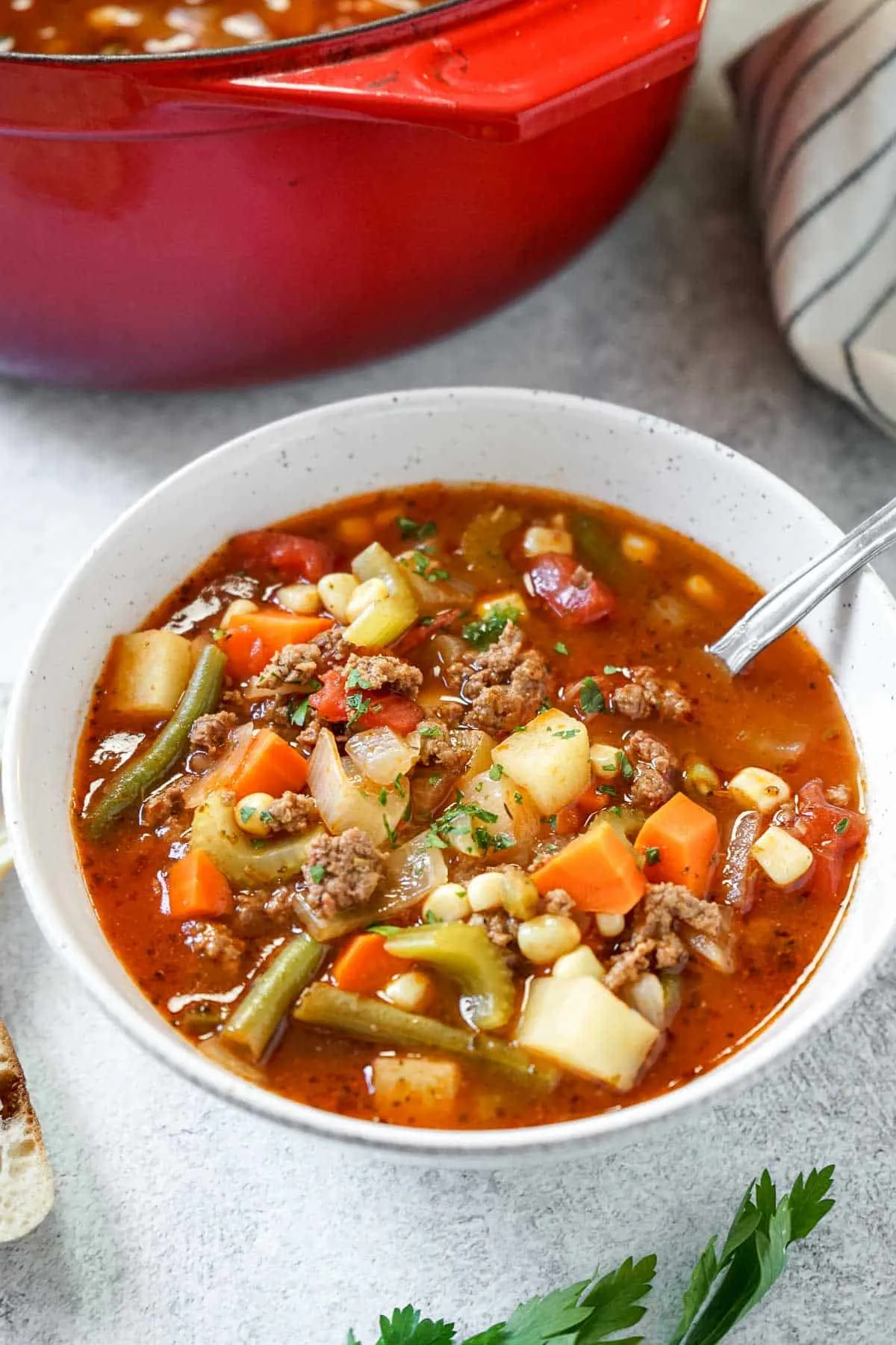 Quick Vegetable Ground Beef Soup