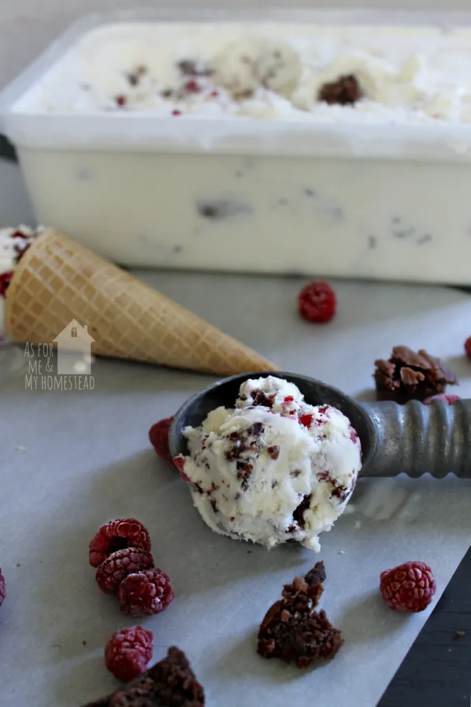 Raspberry Dark Chocolate Ice Cream with Brownie Chunks