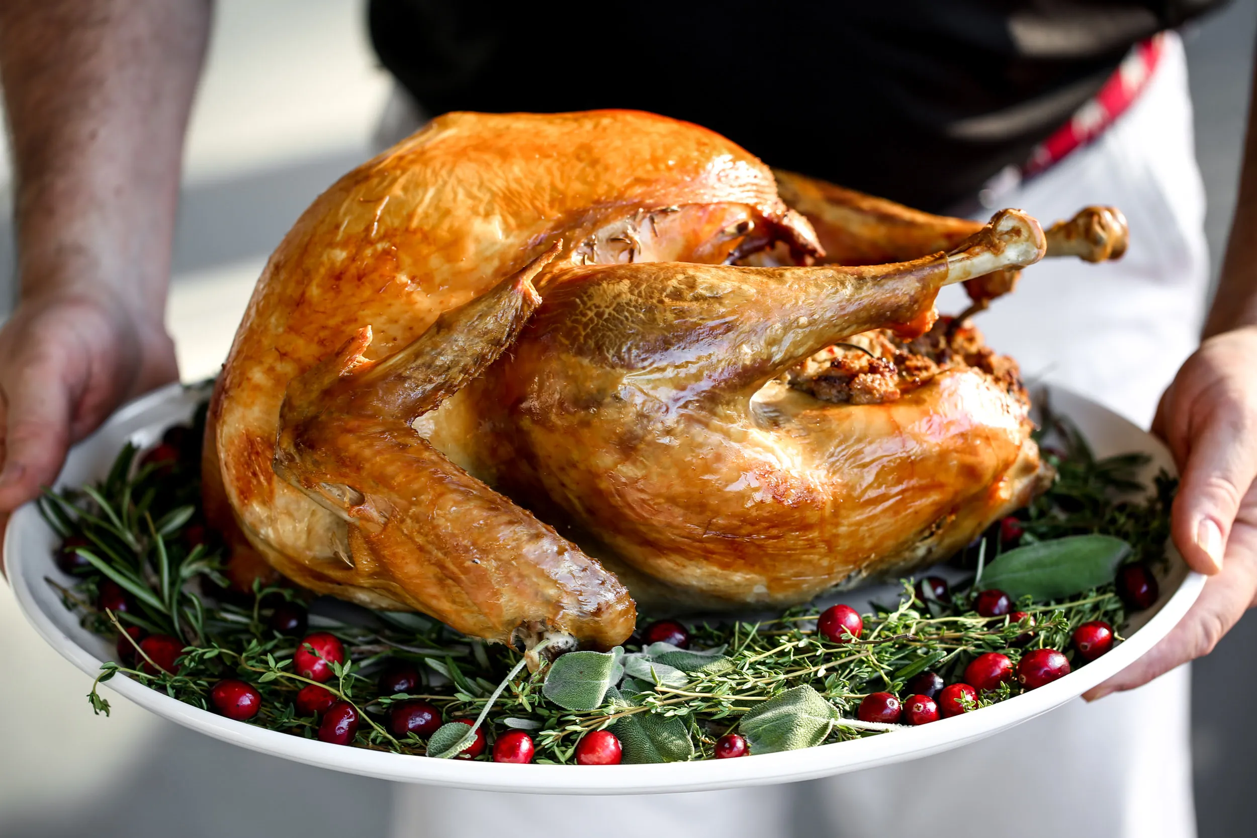 Roast Turkey with a Vegetable Base for Dressing with Brine Instructions