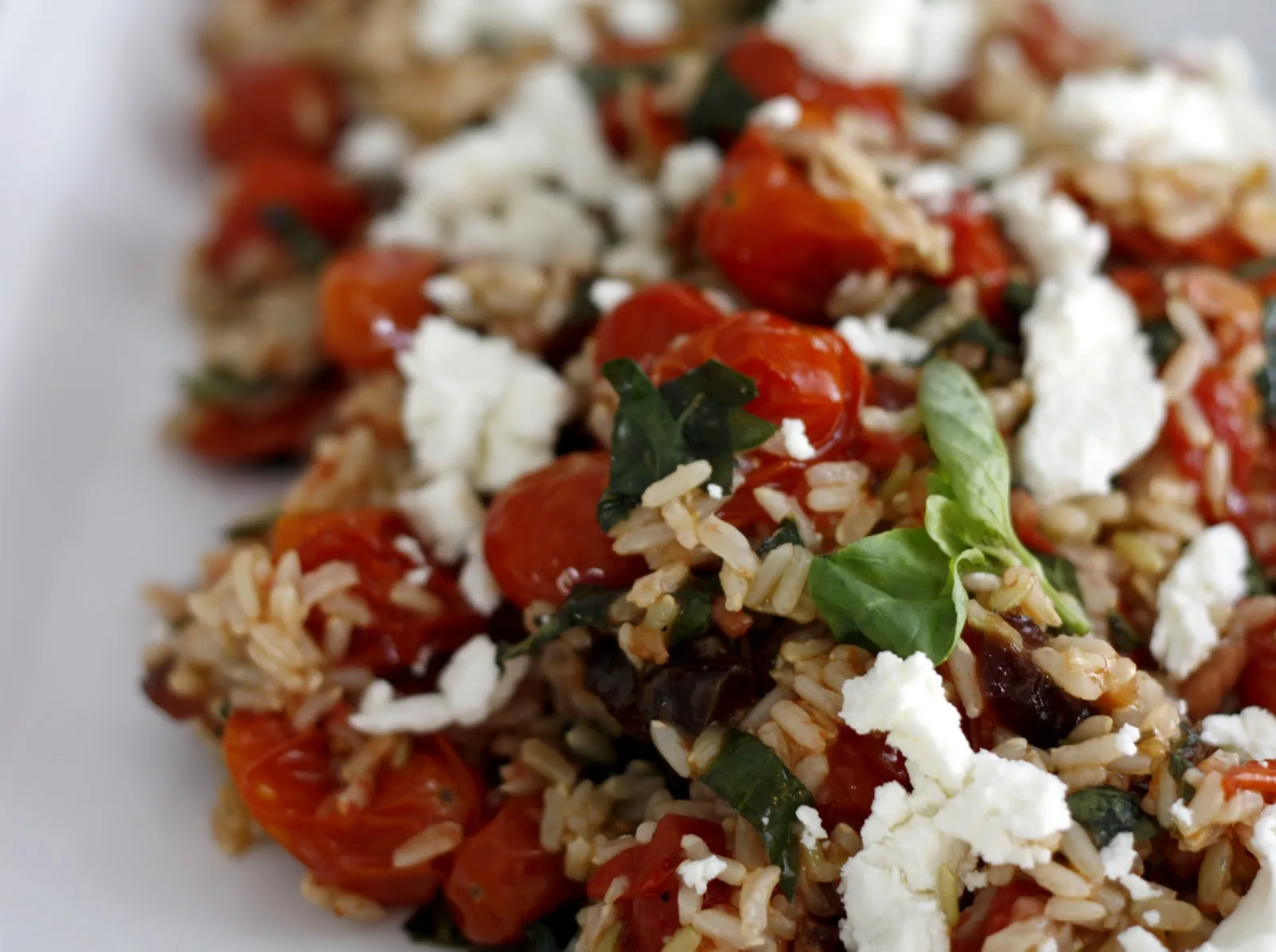 Roasted Tomato and Rice Salad