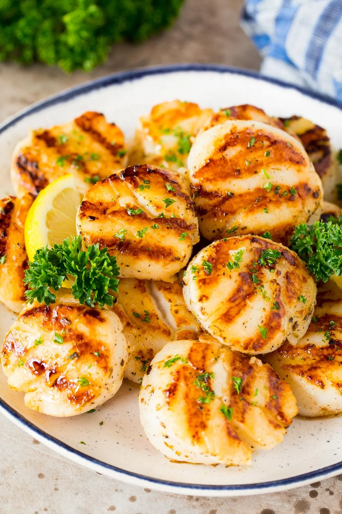Scallops Grilled with a Herb Mie de Pain