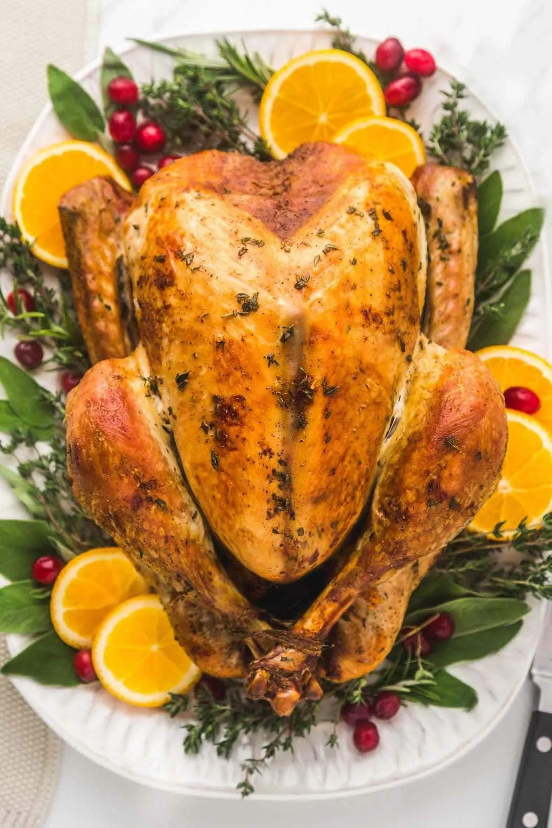 Simple Roasted Thanksgiving Turkey