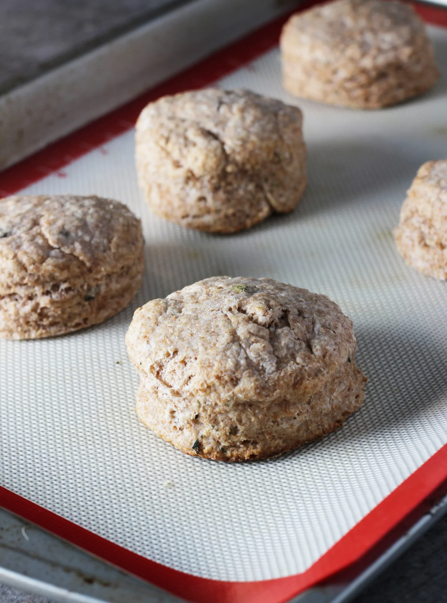 Skinny Biscuits Gravy Whole Wheat Sage Biscuits
