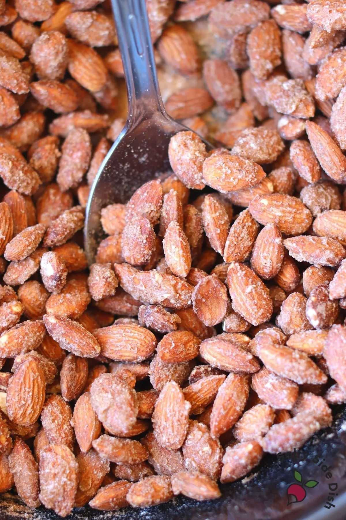 Slow Cooker Roasted Almonds