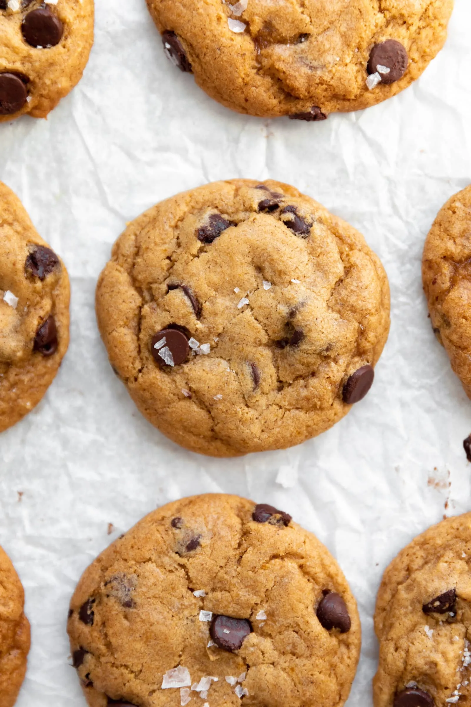 Soft and Chewy Pumpkin Chocolate Chip Cookies