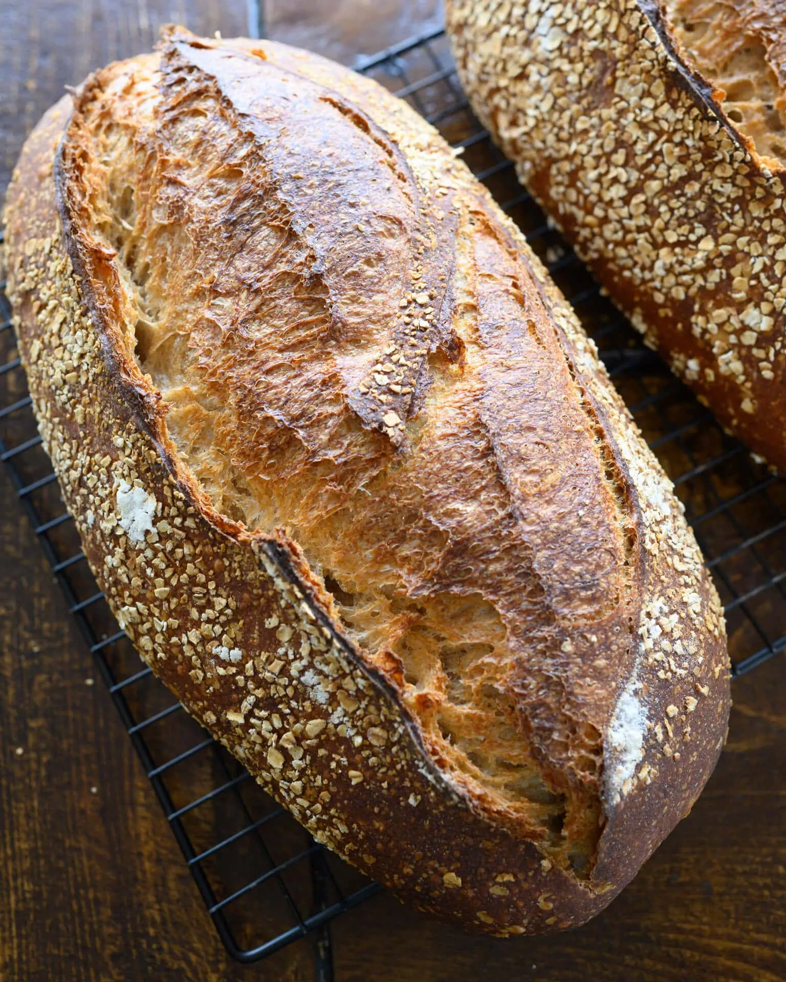 Sourdough Whole Wheat Bread