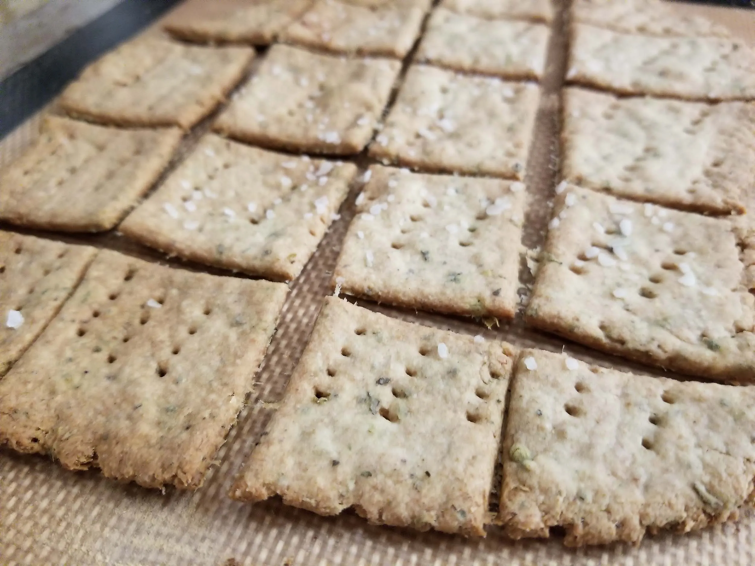 Sourdough Whole Wheat Crackers
