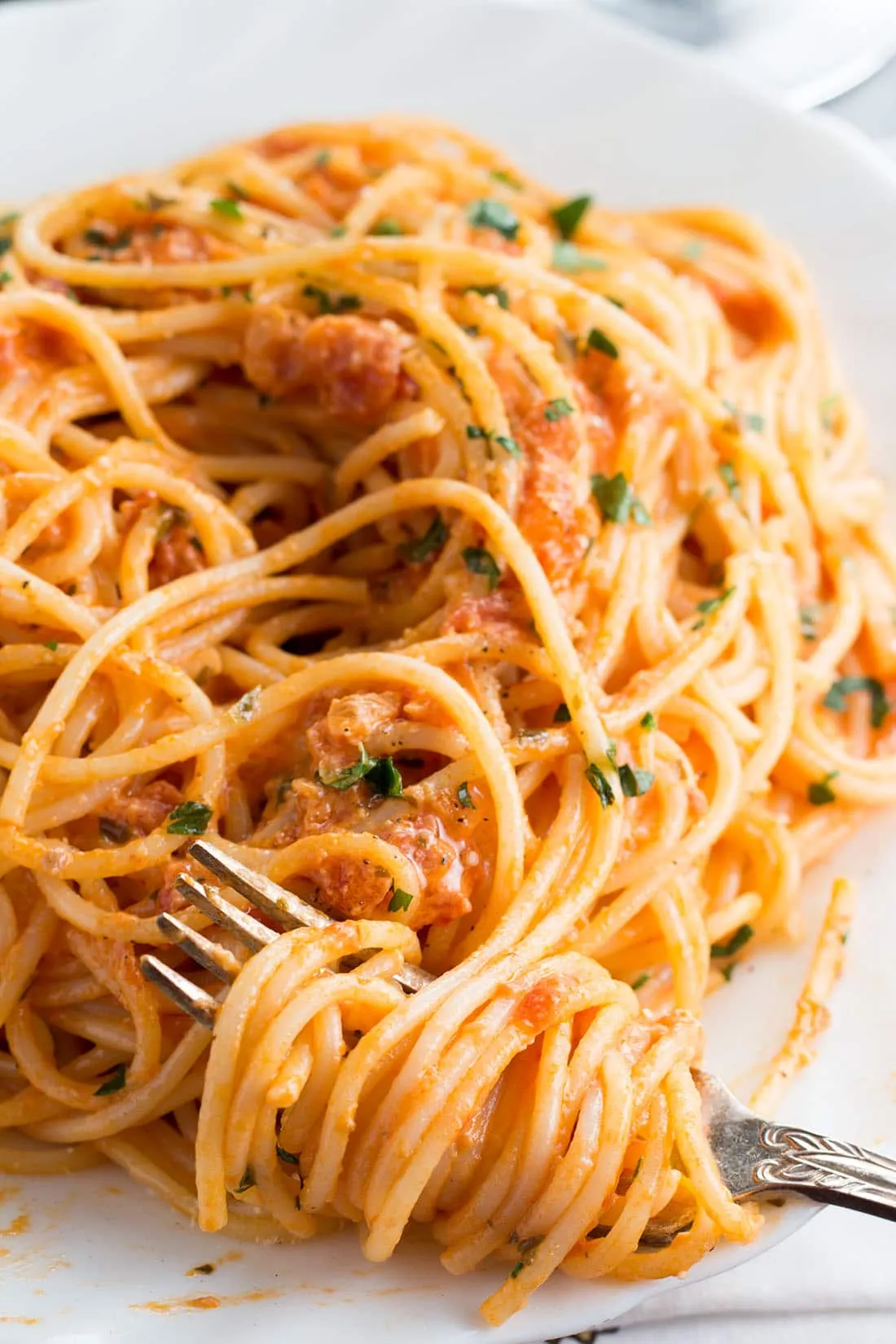 Spaghetti with Tomato Sauce