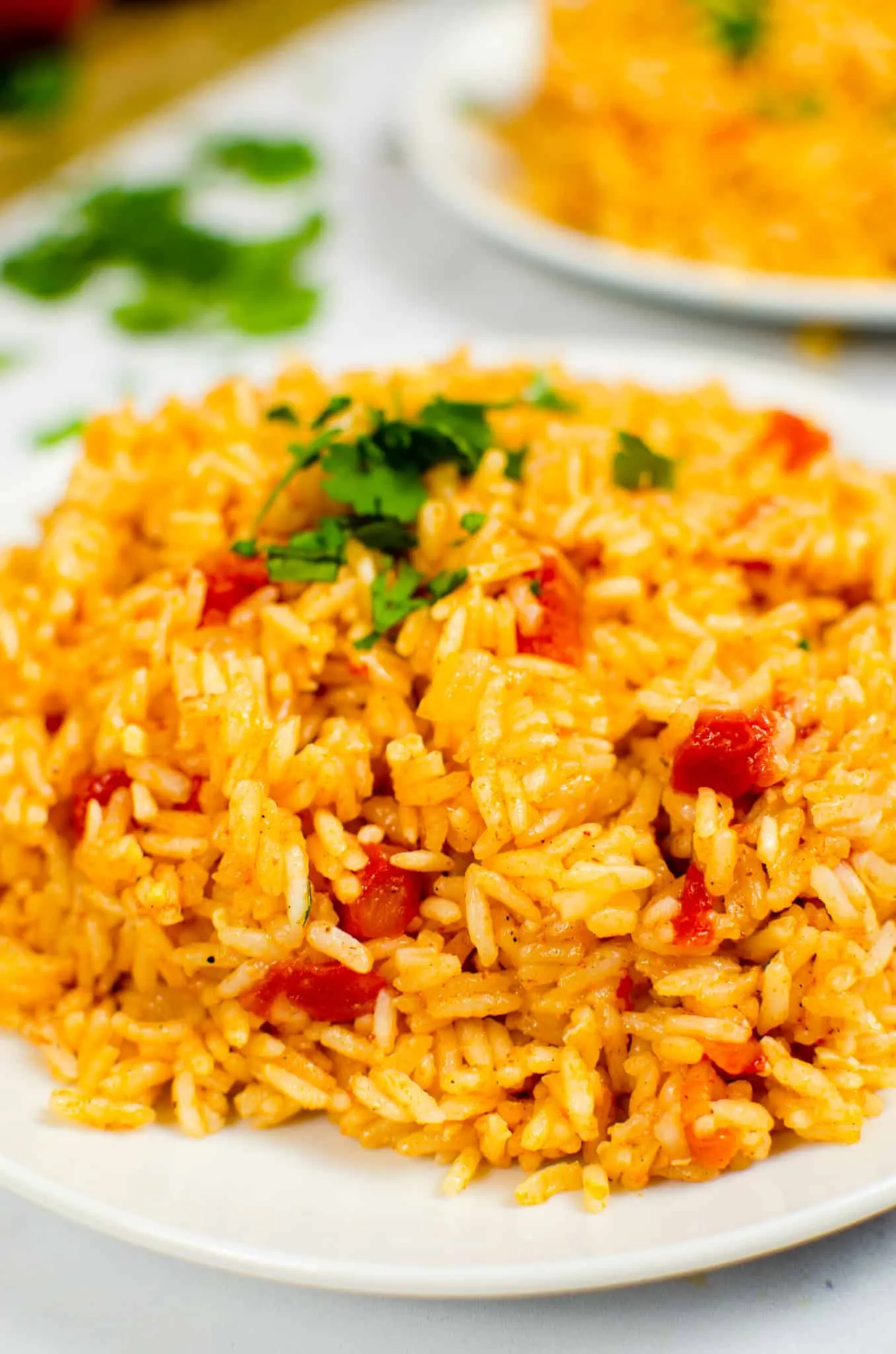 Spanish Rice for Two