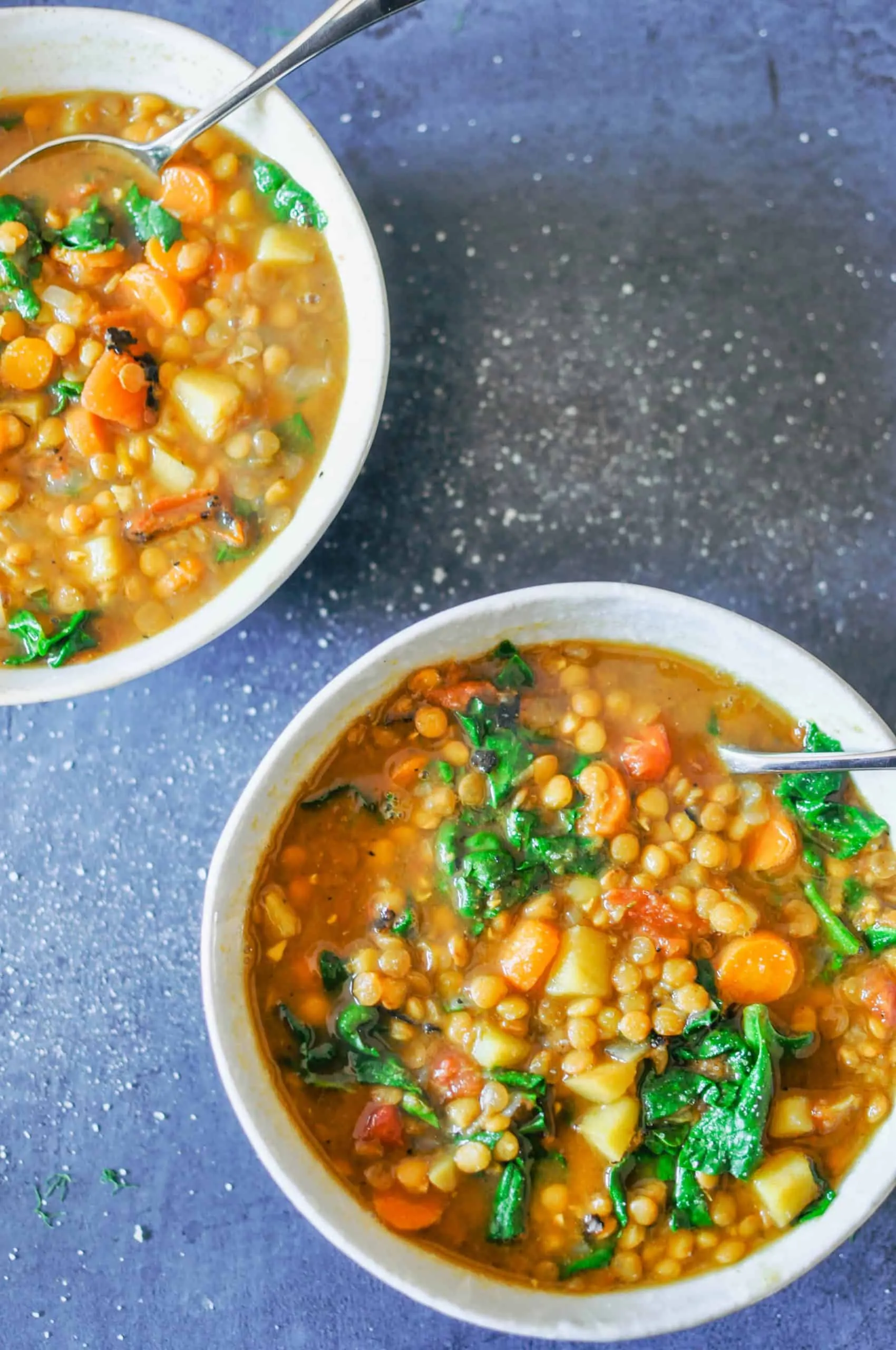 Spiced Vegetarian Lentil Soup