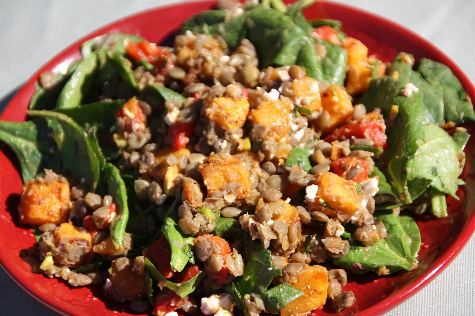 Spicy Squash Salad with Lentils and Feta Cheese