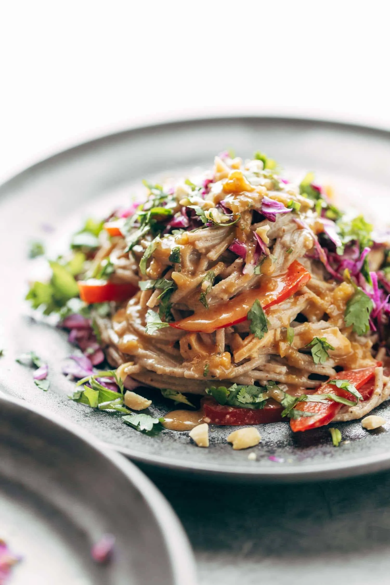 Spicy Vegetarian Peanut Noodle Salad