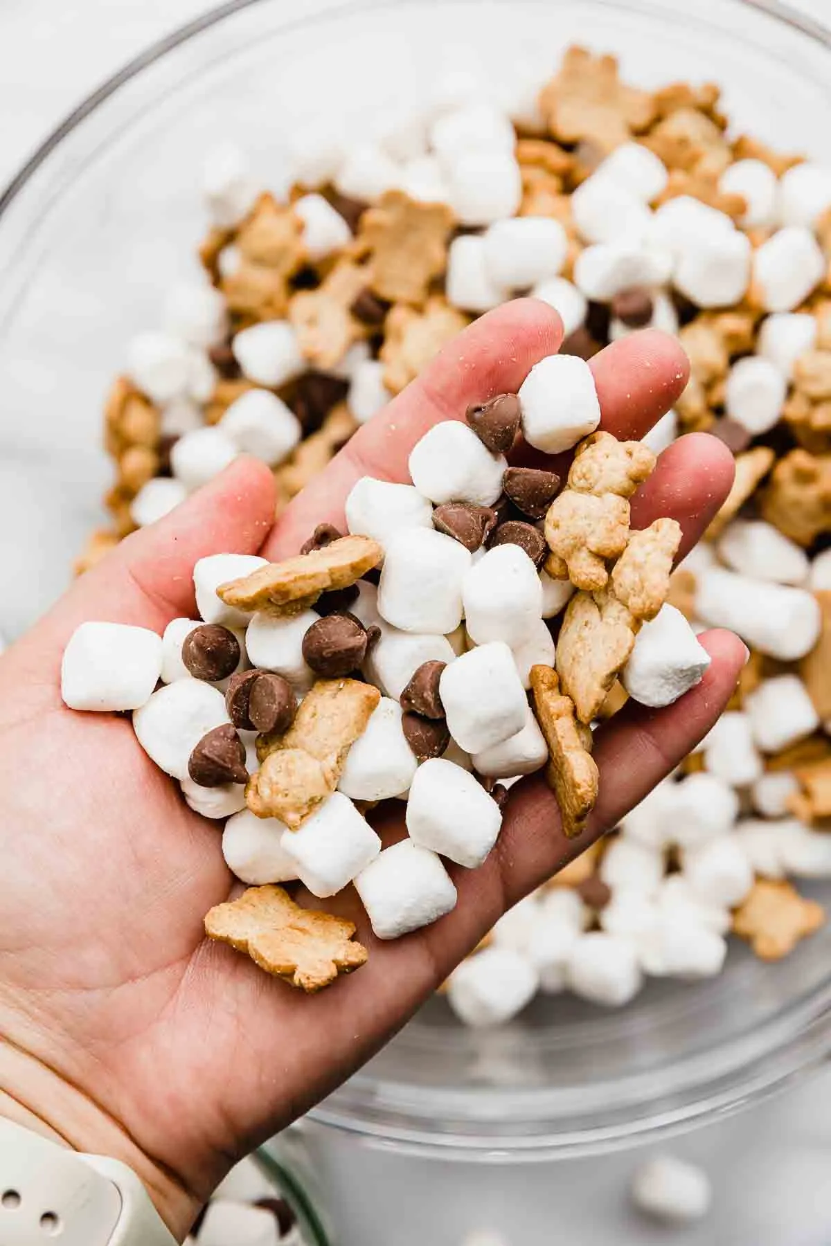Sticky Sweet S'mores Mix