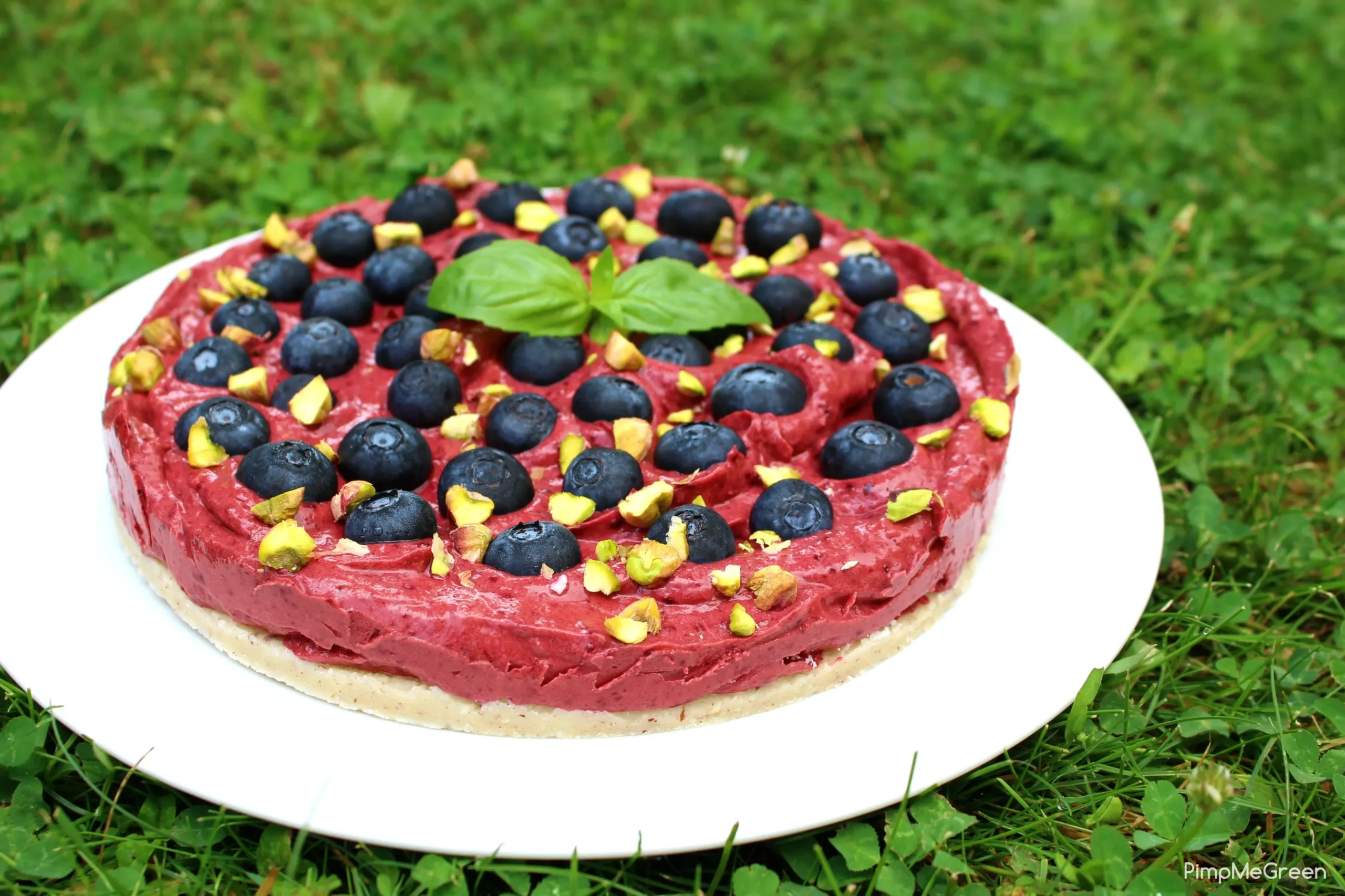 Summer Blueberry Tart (Tarte aux Myrtilles)