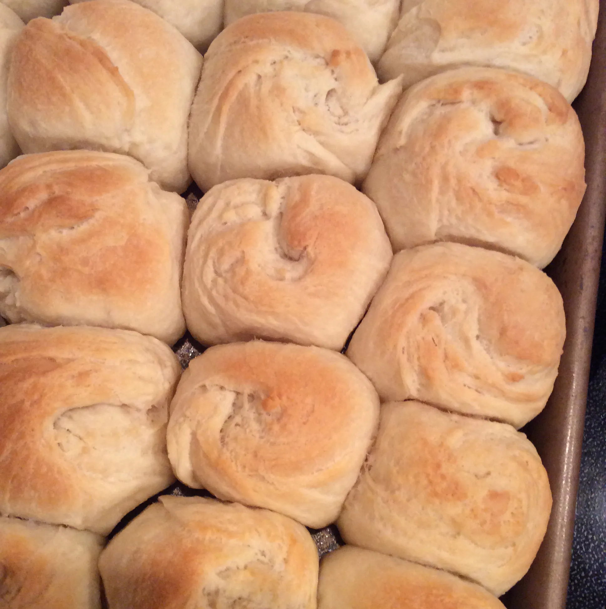 Suzanne's Favorite Buttery Pan Rolls