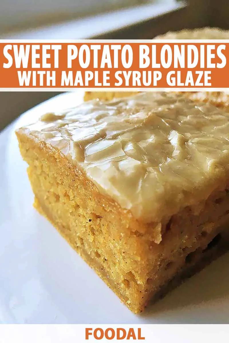 Sweet Potato Blondies with Maple Glaze