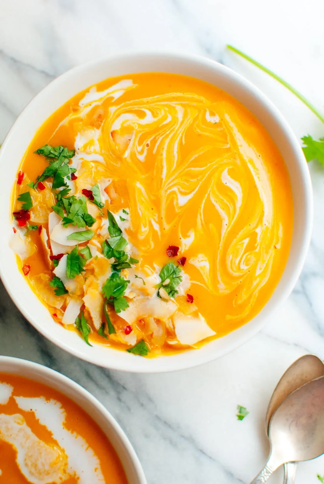 Thai Curry Butternut Squash Salmon Soup