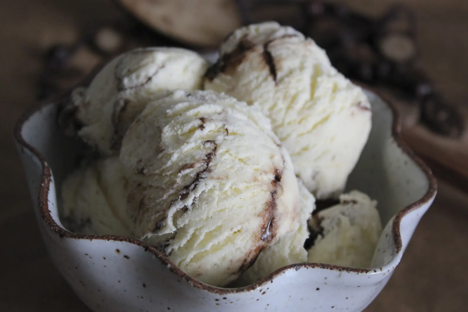 Toasted Coconut Ice Cream with a Fudge Ripple