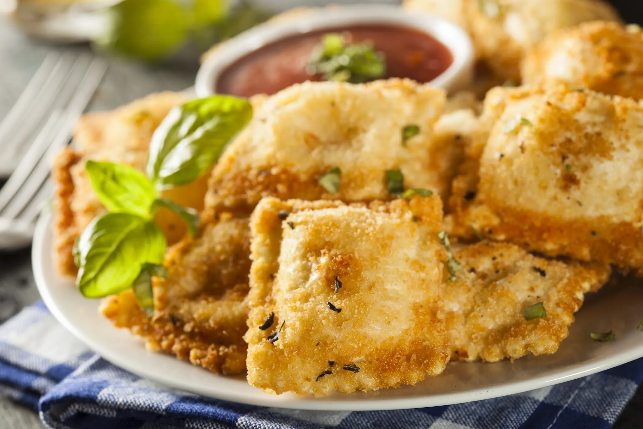 Toasted Ravioli with Italian Salsa Aha