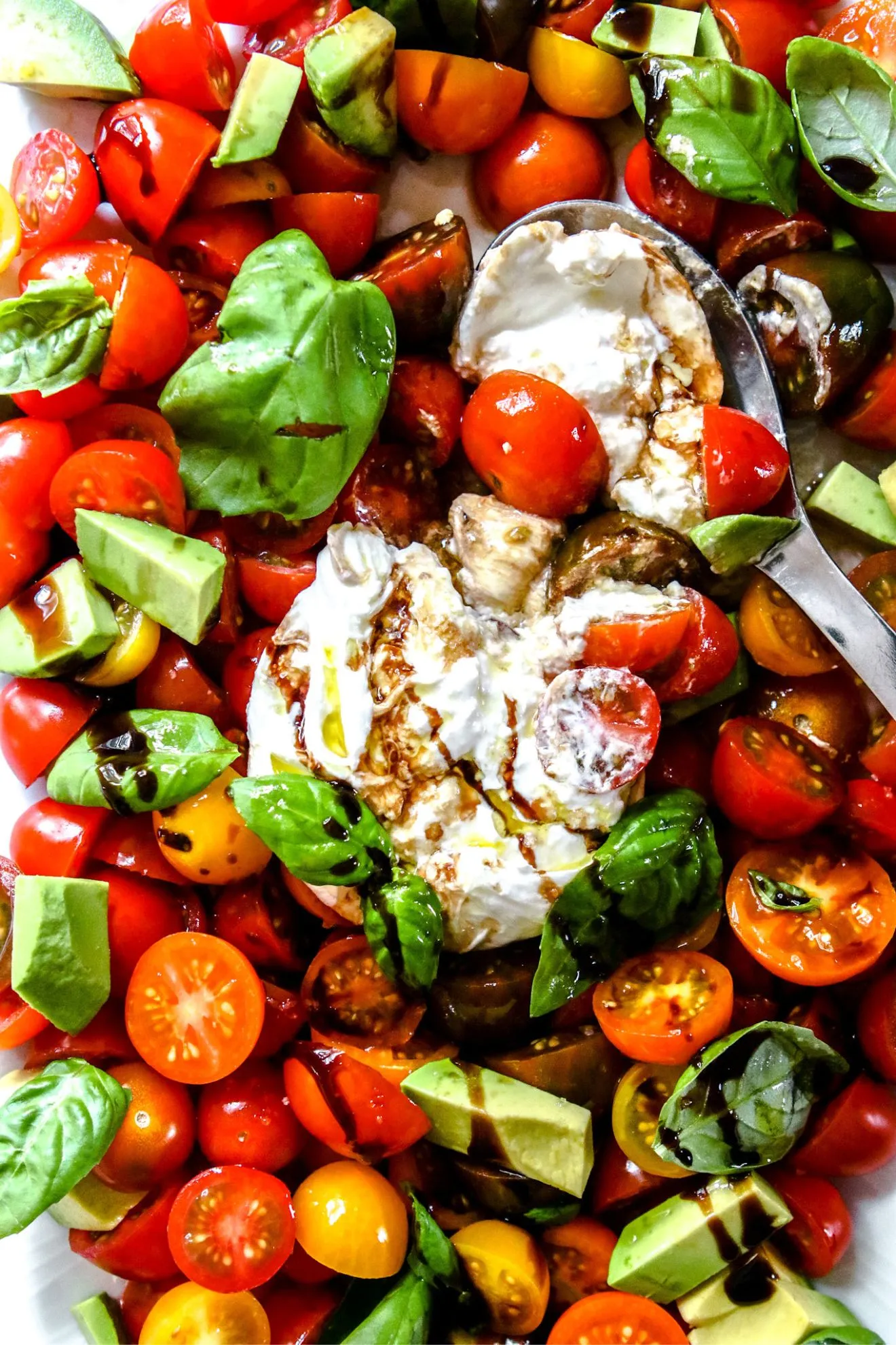 Tomato Caprese with Fresh Burrata