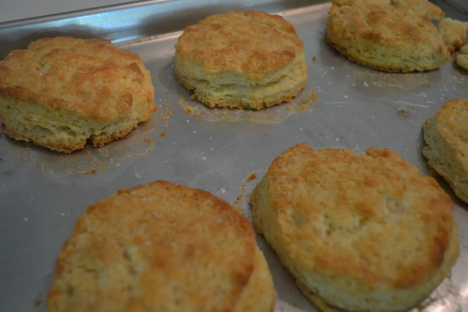 Tupelo Honey Ginormous Biscuits