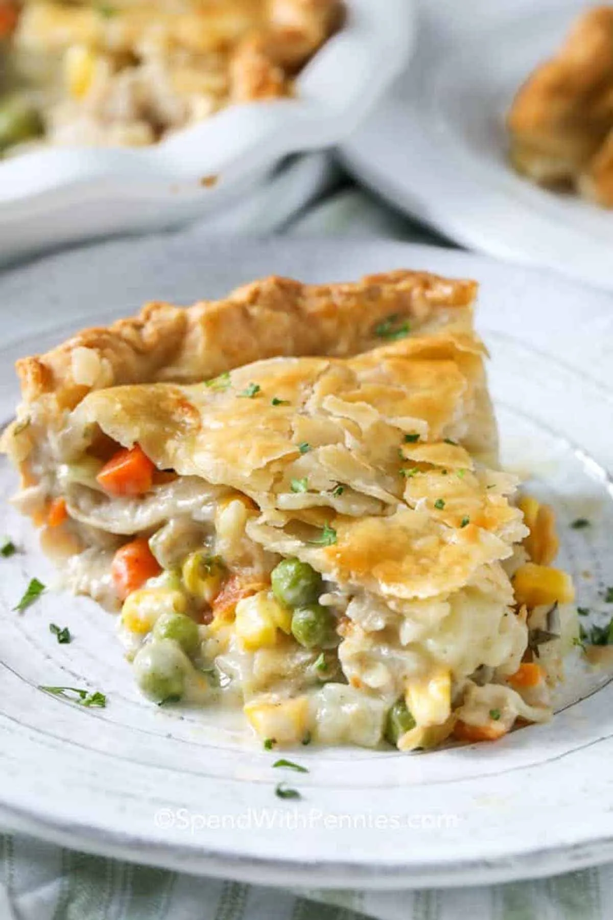 Turkey Ratatouille Pot Pie