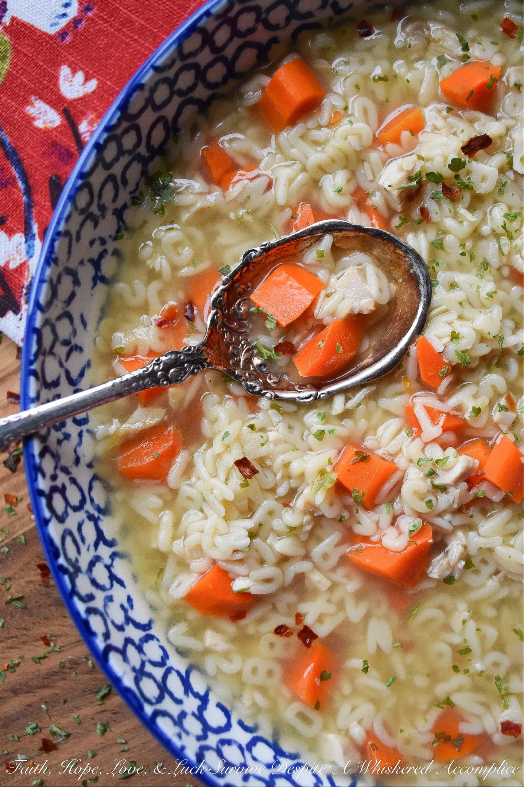 Turkey Tomato Alphabet Soup