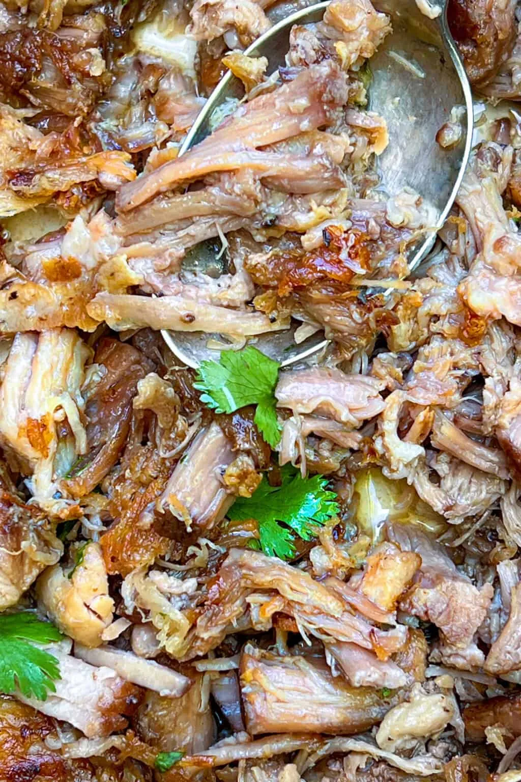 Two Ingredient Carnitas Mexican Slow Cooked Pulled Pork