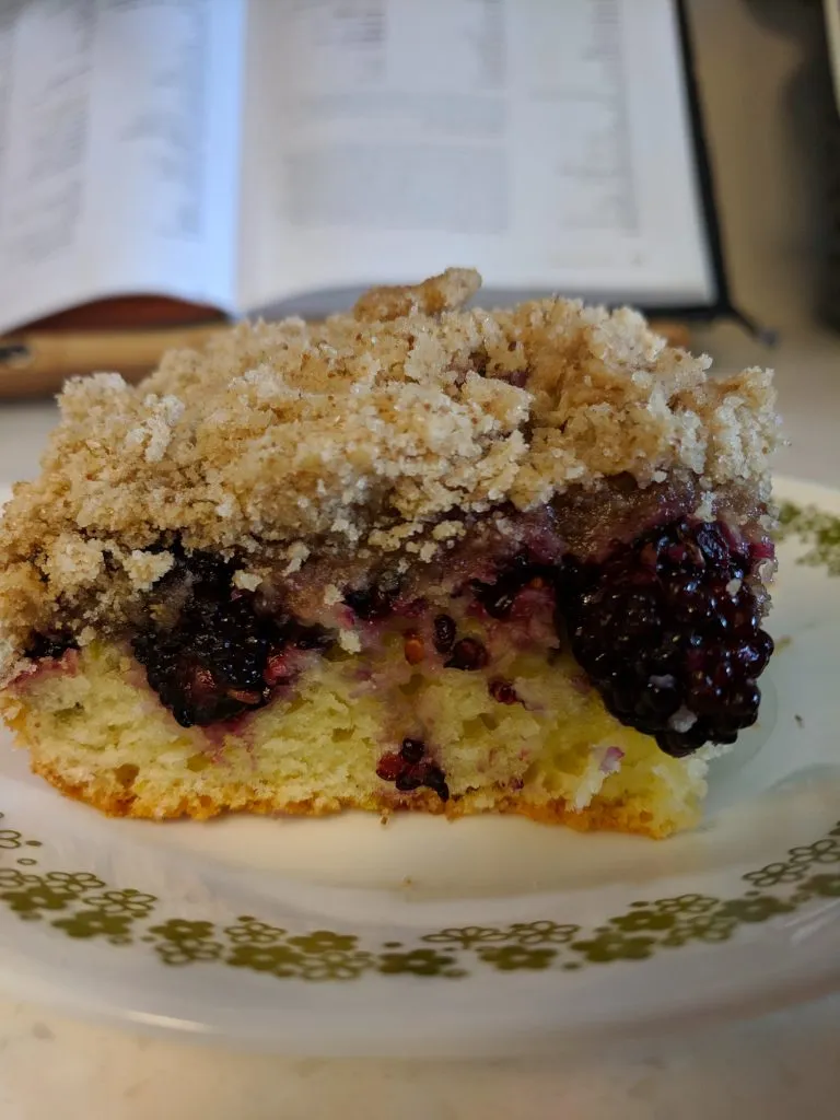 Vanilla Bean Mulberry Cake