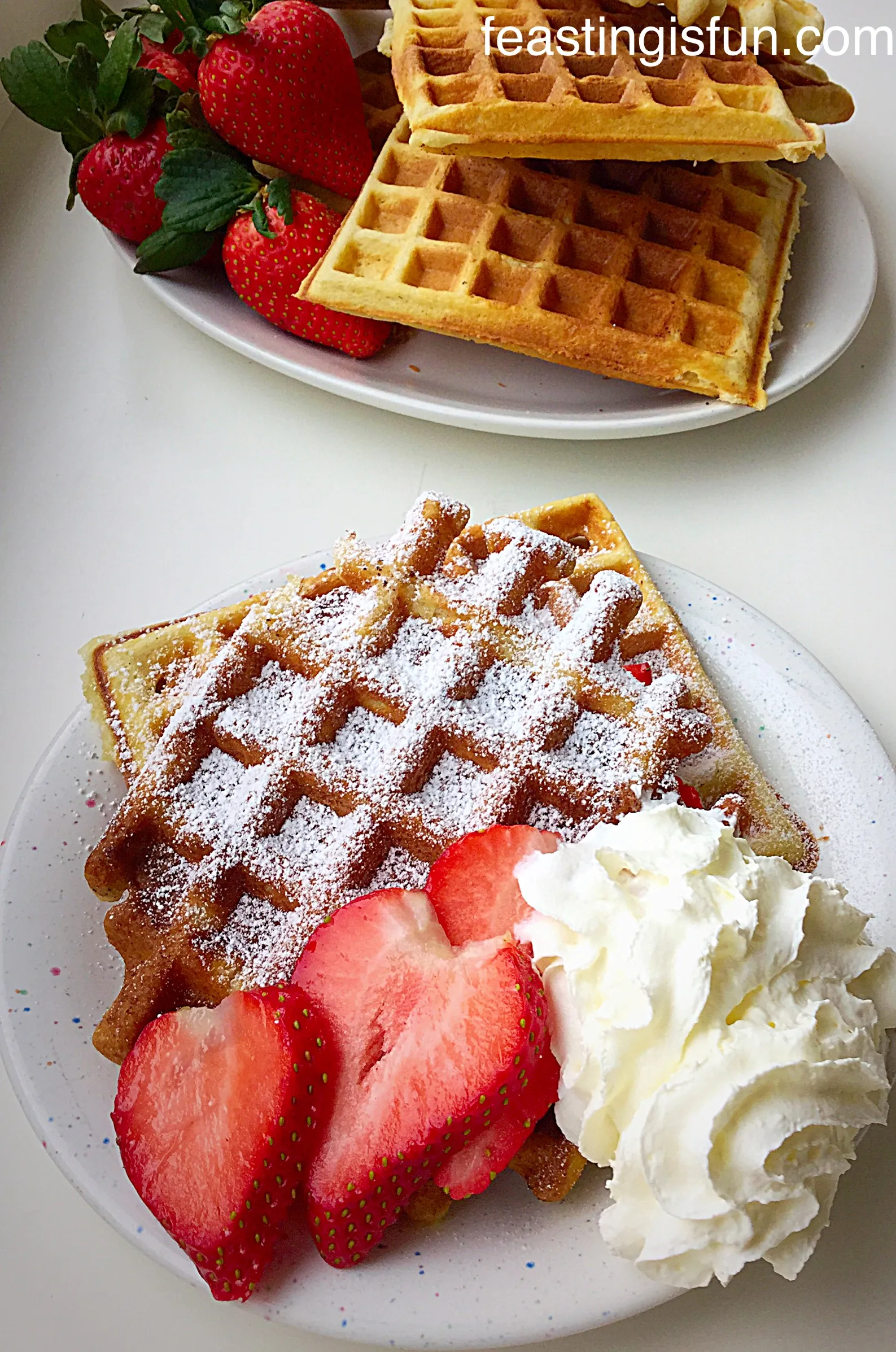 Vanilla Bean Yogurt Waffles
