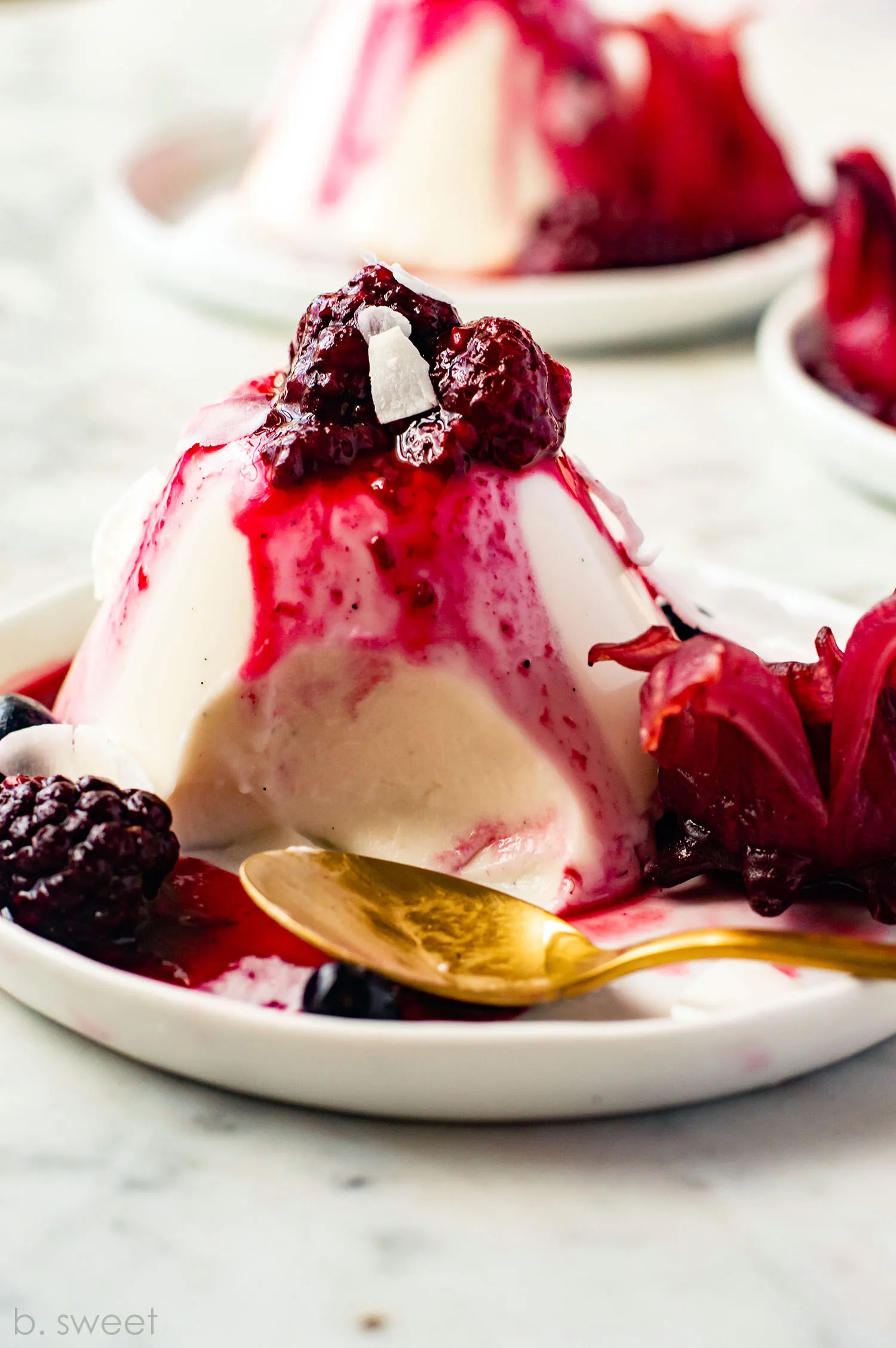 Vanilla Coconut Panna Cotta