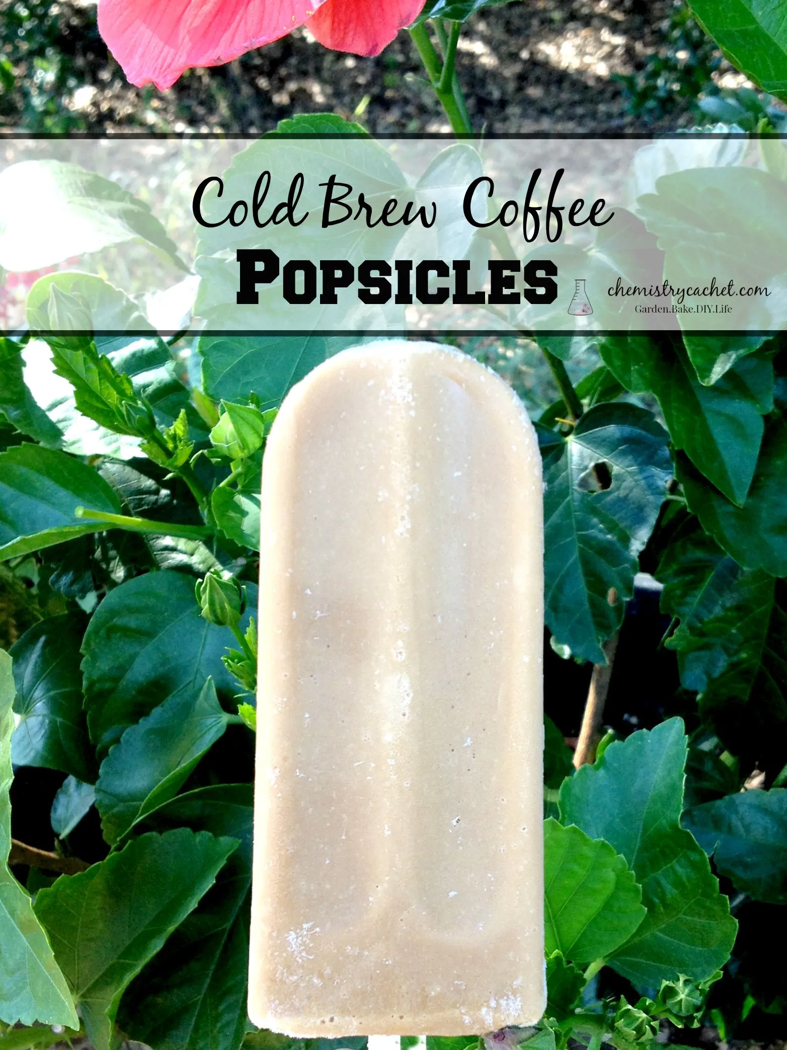 Vanilla Cold Brew Coffee Popsicles