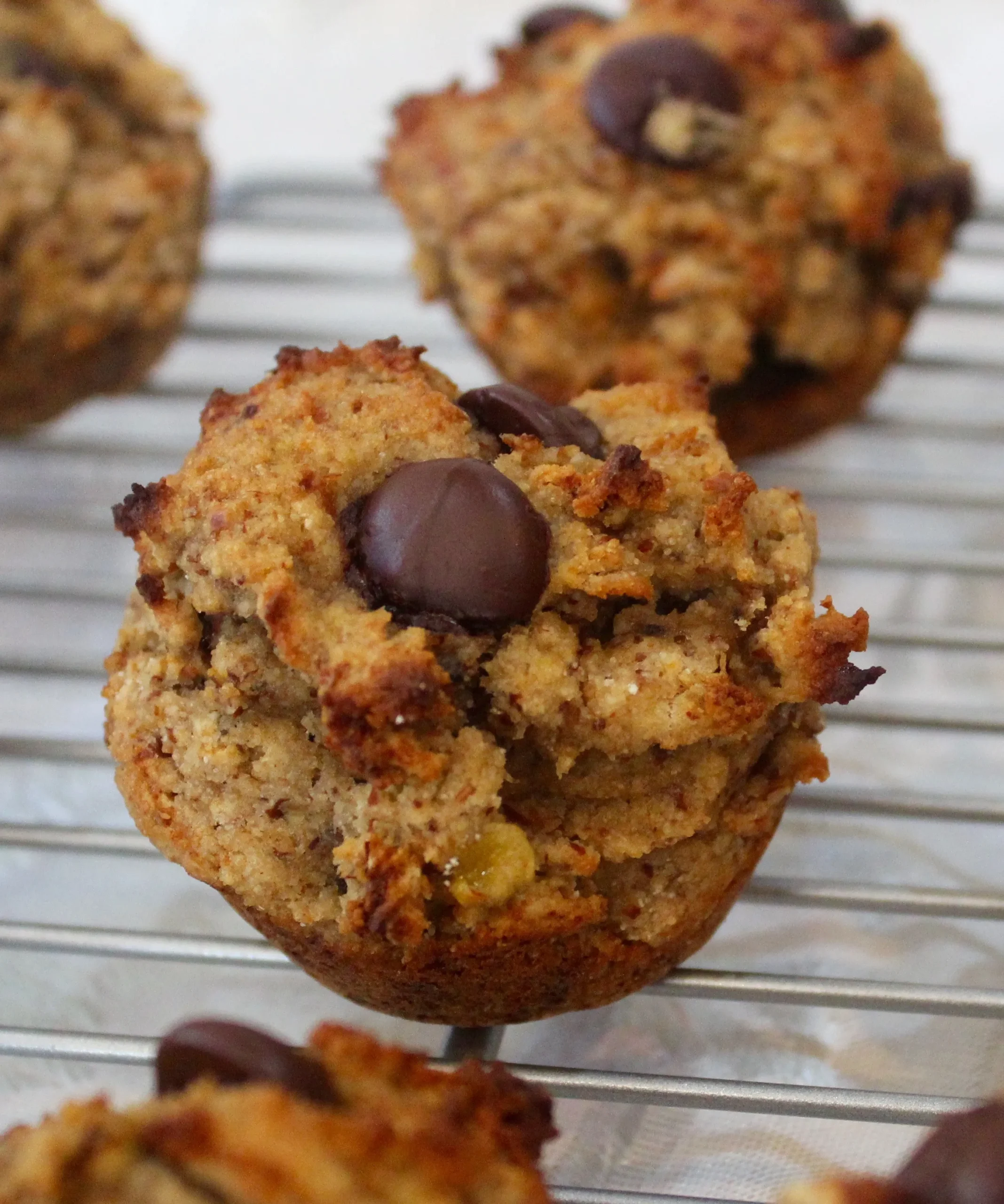 Vegan Peanut Butter Chocolate Chip Muffins