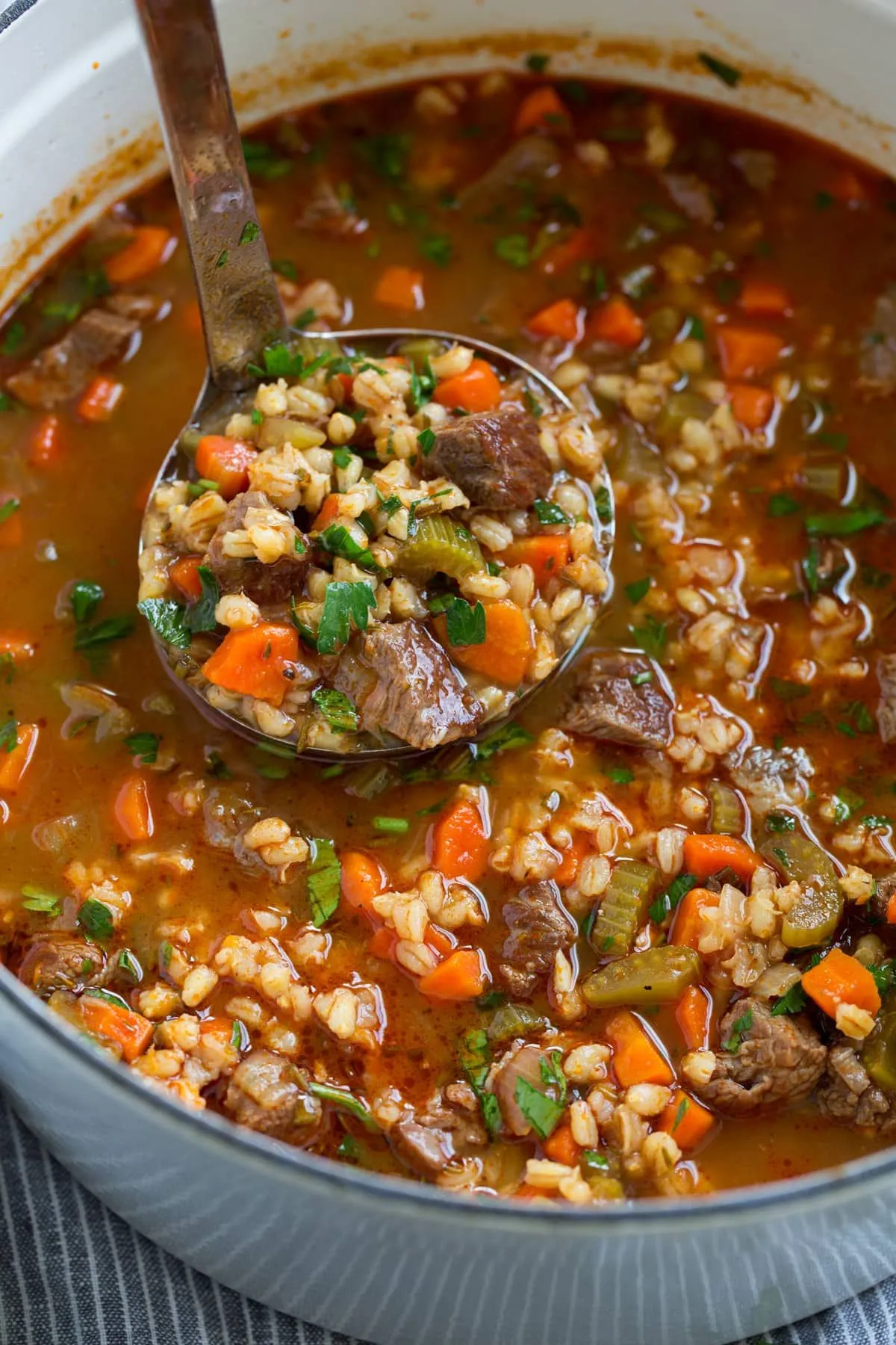 Vegetable Beef Barley Soup